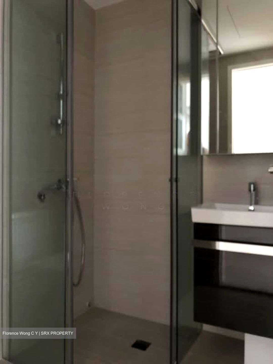 Sant Ritz (D13), Condominium #582230241